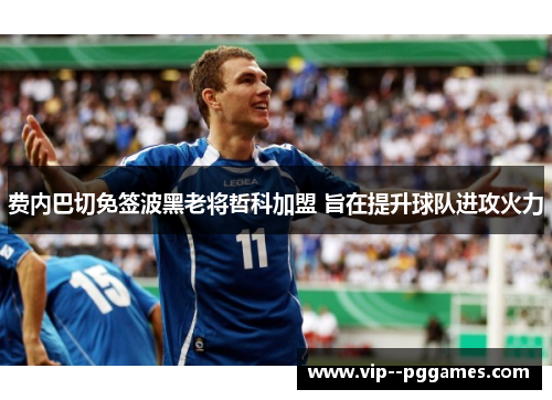 费内巴切免签波黑老将哲科加盟 旨在提升球队进攻火力