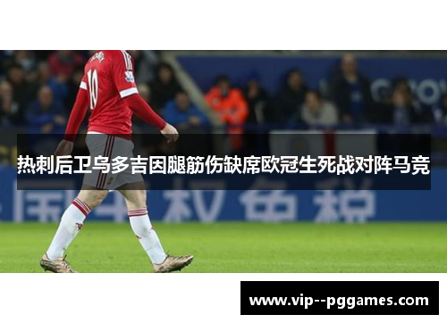 热刺后卫乌多吉因腿筋伤缺席欧冠生死战对阵马竞 热刺后卫乌多吉因腿筋伤缺席欧冠生死战对阵马竞